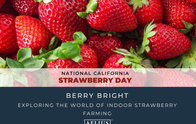 Blog Title Image for National California Strawberry Day