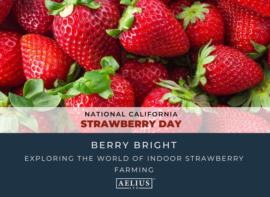 Blog Title Image for National California Strawberry Day
