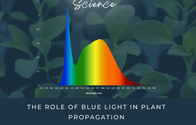 LED Spectrum Featuring A Spike In Blue Light