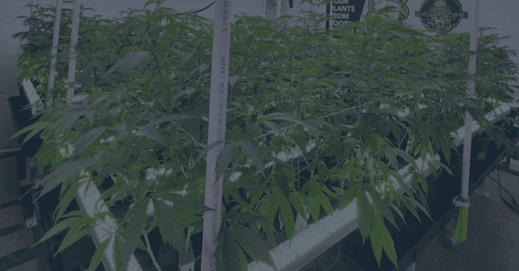 growers