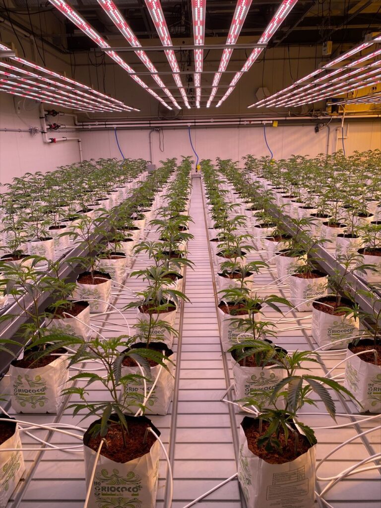 growers