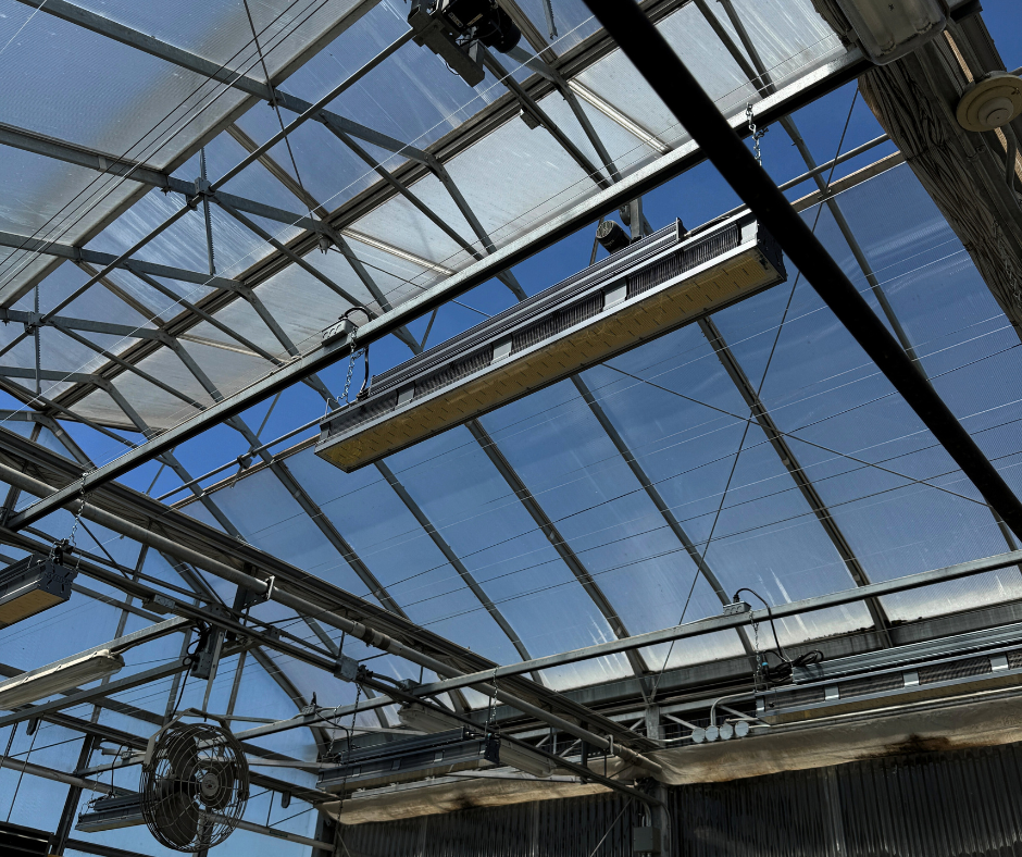 Alberta greenhouse funding