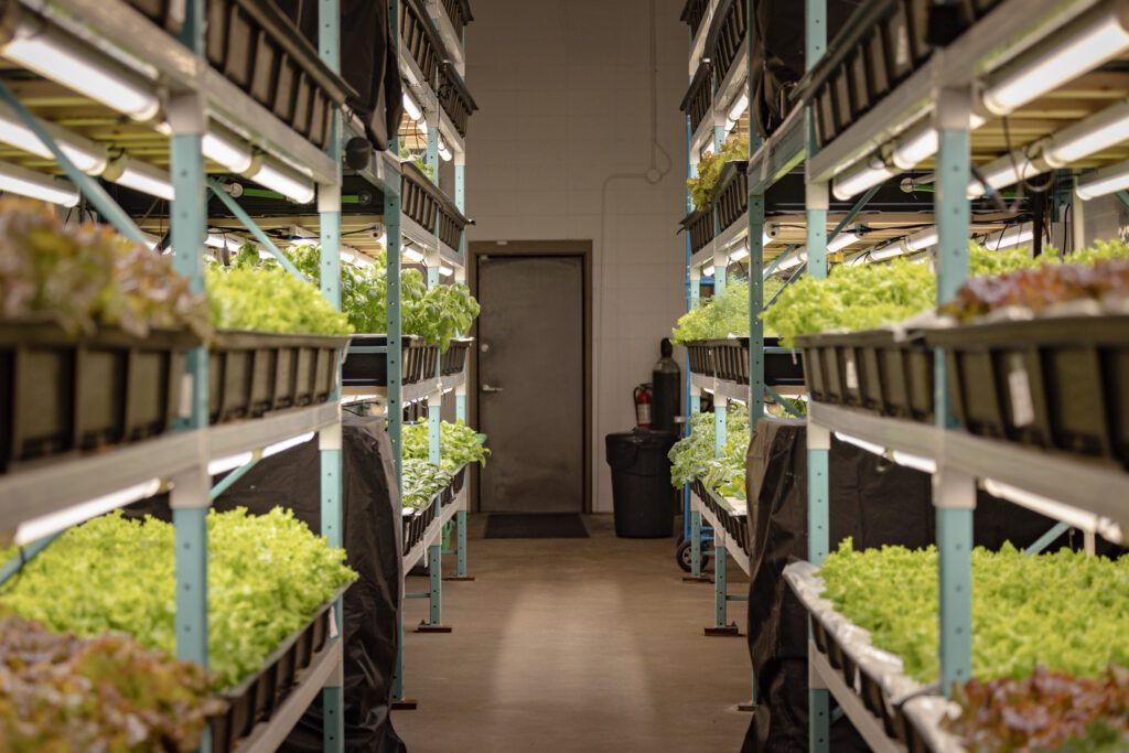 Alberta greenhouse funding