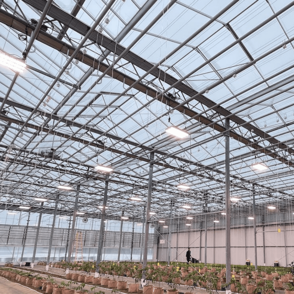 Alberta greenhouse funding