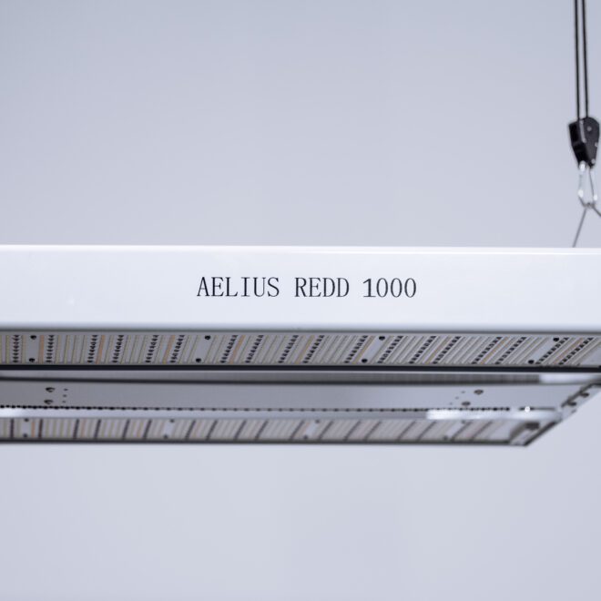 The Aelius REDD 3.0 1000 LV