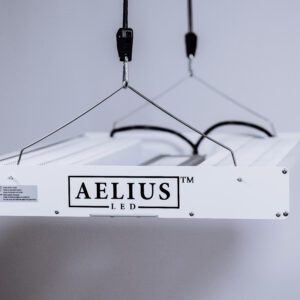 The Aelius REDD 3.0 800 HV