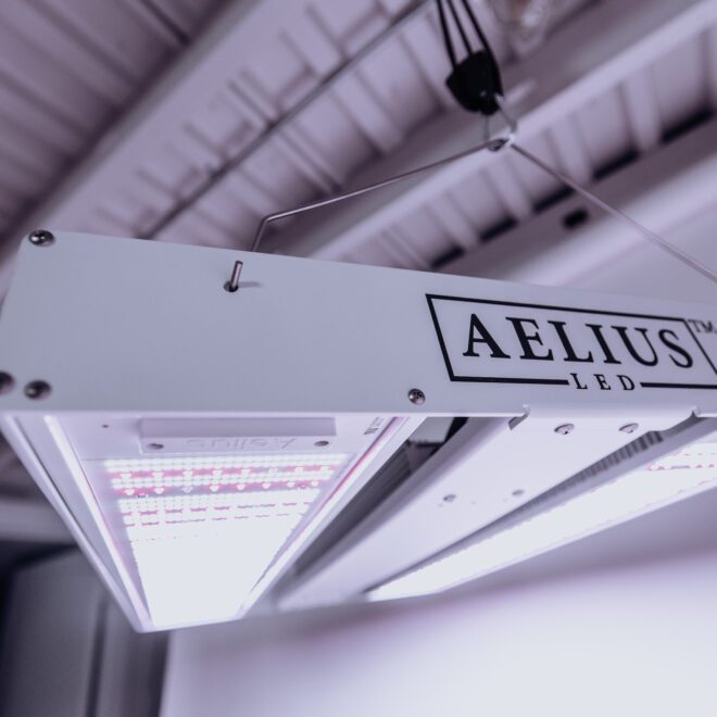 The Aelius REDD 3.0 800 HV