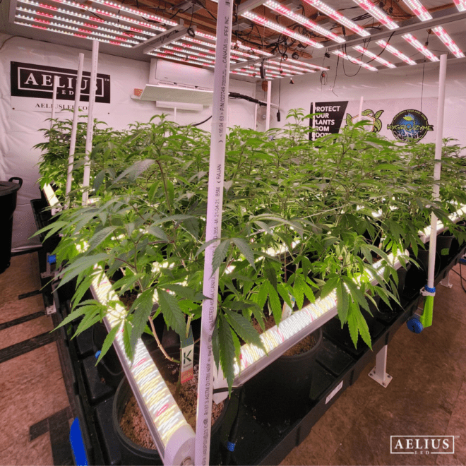 The 120W Under Canopy LED