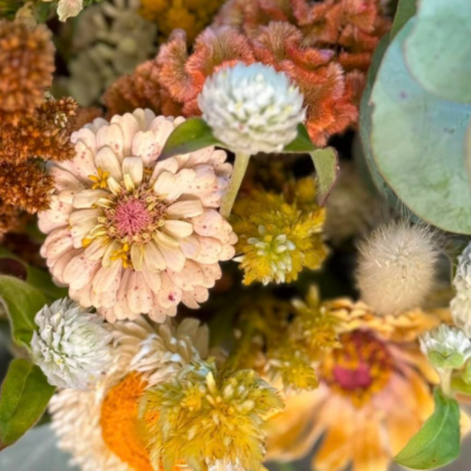 spotlights (1080 x 1080 px) (12)