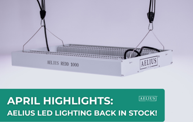 led lighting