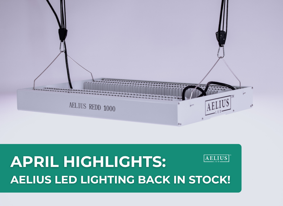 led lighting