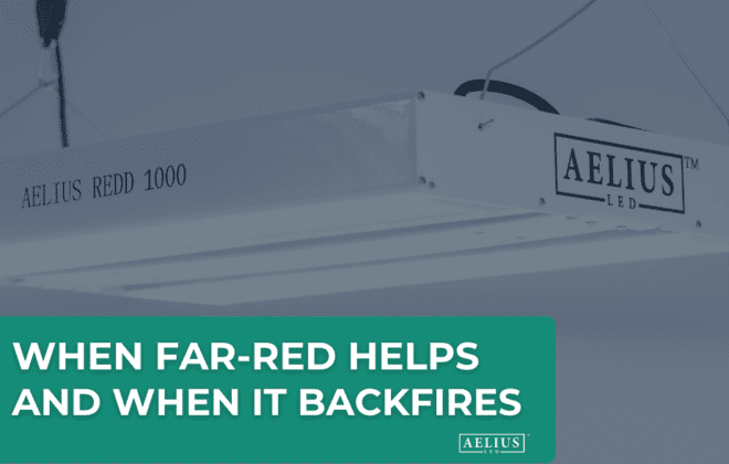 Far-red